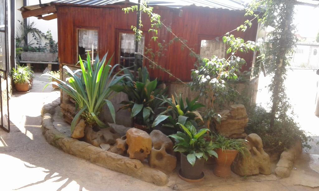 Machadodorp Pat'S Place מראה חיצוני תמונה